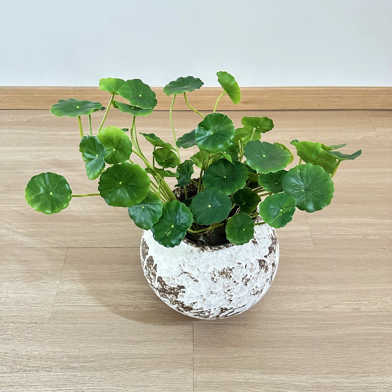 Pilea Peperomioides - 2 pièces de feuilles artificielles de