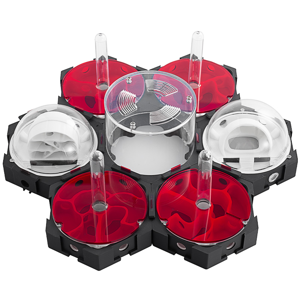 Nid de fourmi imprimé 3D, ferm - Begonia Rex avis et prix
