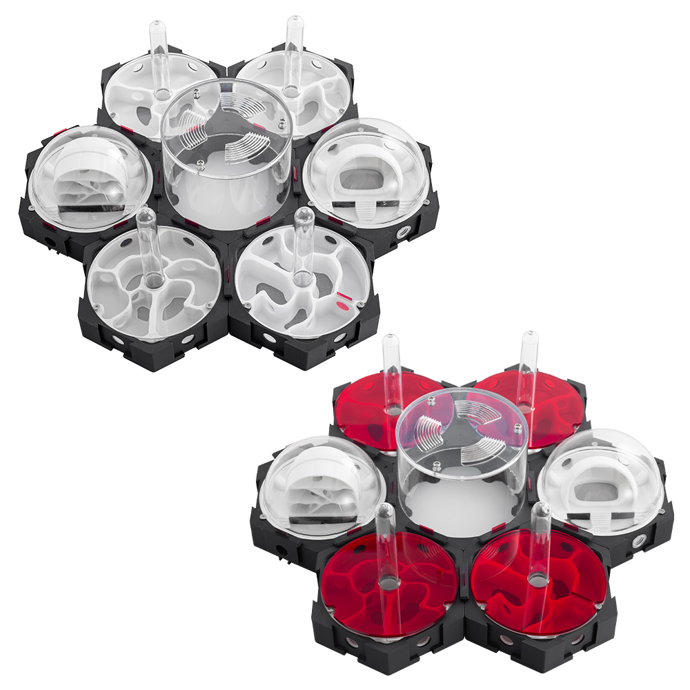 Nid de fourmi imprimé 3D, ferm - Begonia Rex avis et prix