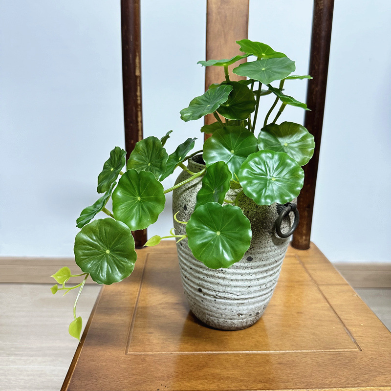2 pièces de feuilles artificie - Pilea Peperomioides avis et prix