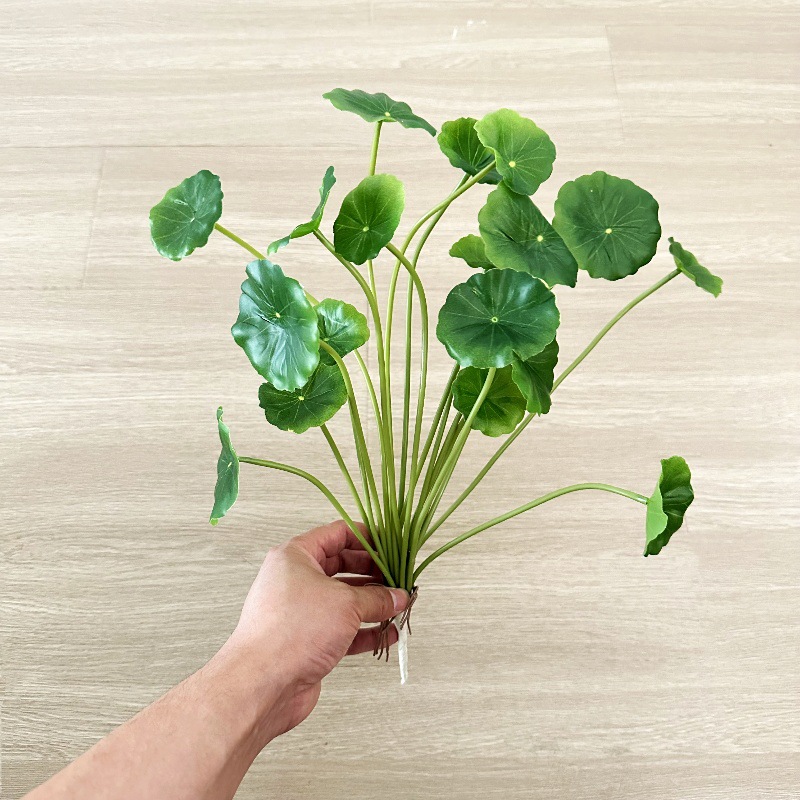 2 pièces de feuilles artificie - Pilea Peperomioides avis et prix