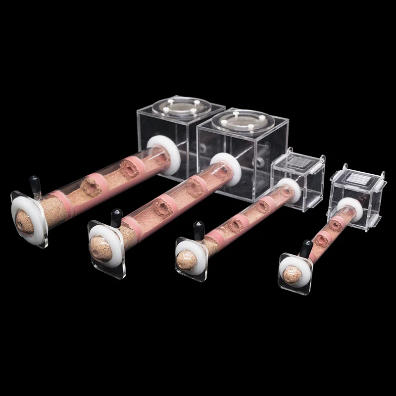Nid en Tube de bambou pour fer - Begonia Rex avis et prix